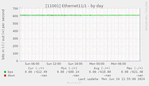 [11001] Ethernet11/1
